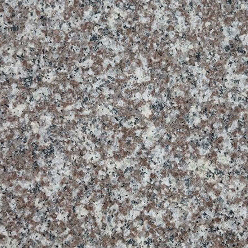 China Rosa Granite- NEW G664